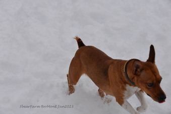Enlarge photo 272
