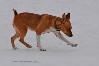Enlarge photo 269