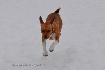 Enlarge photo 264