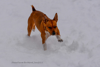 Enlarge photo 248