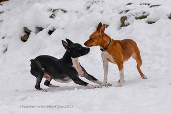 Enlarge photo 246