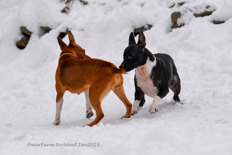 Enlarge photo 240