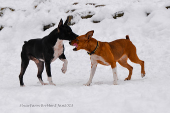 Enlarge photo 224
