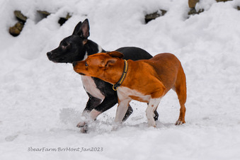 Enlarge photo 218