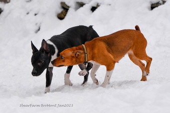 Enlarge photo 214