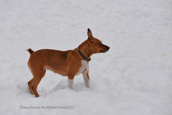 Enlarge photo 208