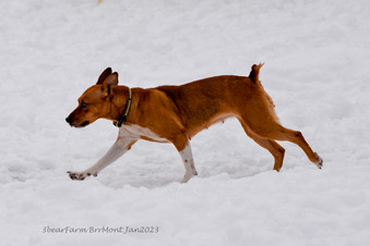 Enlarge photo 204