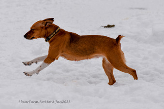 Enlarge photo 201