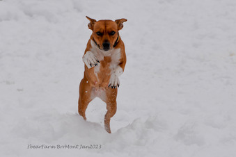 Enlarge photo 182