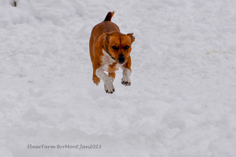 Enlarge photo 180