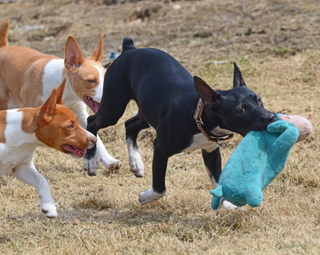 Enlarge photo 69
