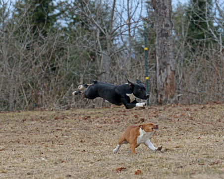Enlarge photo 146