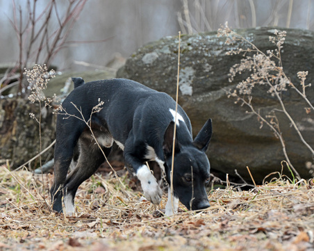 Enlarge photo 186