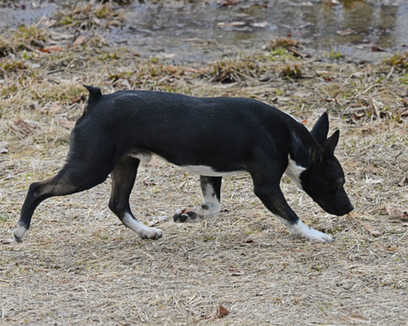 Enlarge photo 218