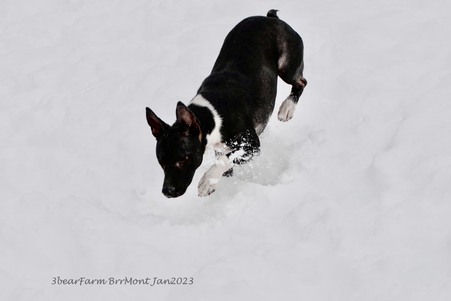 Enlarge photo 7