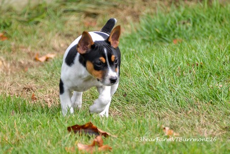 Enlarge photo 649