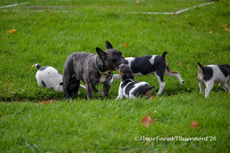 Enlarge photo 585