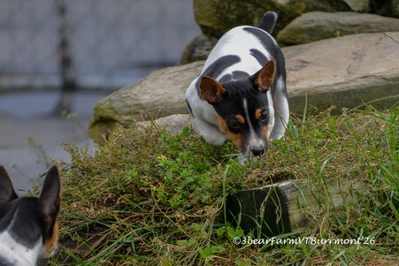 Enlarge photo 511