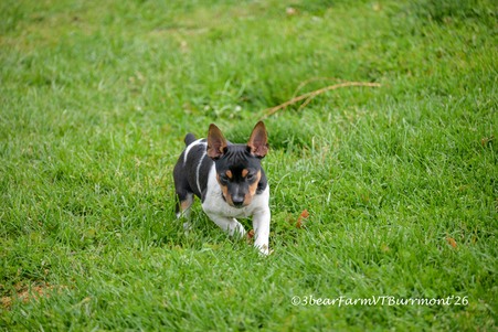 Enlarge photo 440
