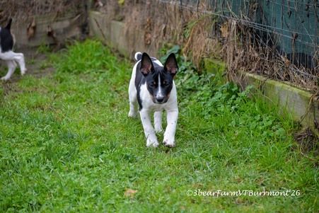 Enlarge photo 336