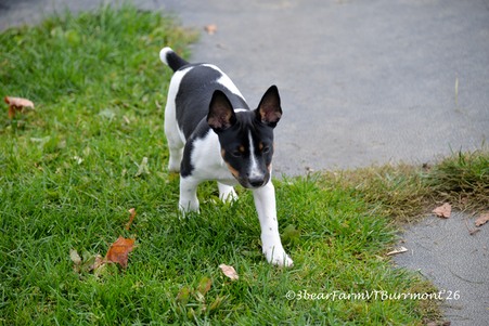 Enlarge photo 311