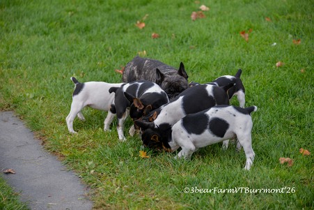 Enlarge photo 288