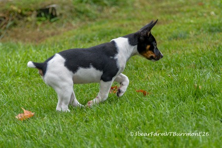 Enlarge photo 160