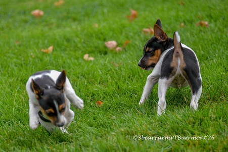 Enlarge photo 145