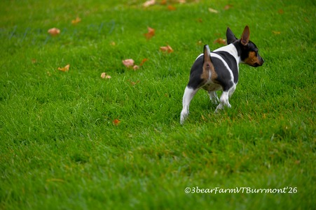 Enlarge photo 144