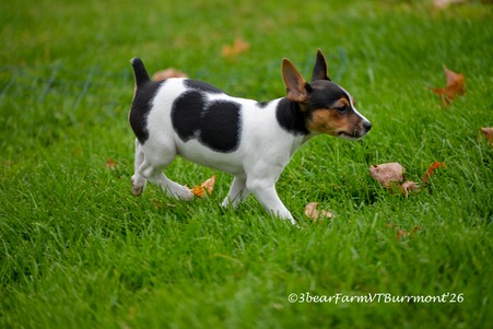 Enlarge photo 142