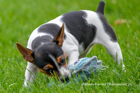 Enlarge photo 42