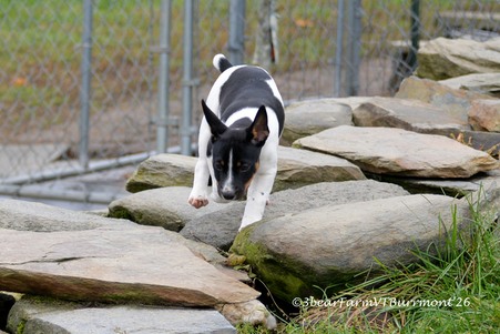 Enlarge photo 27