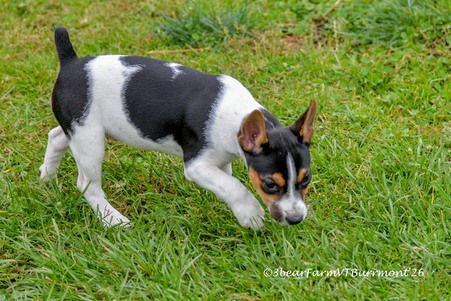 Enlarge photo 12