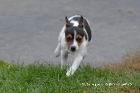 10 weeks