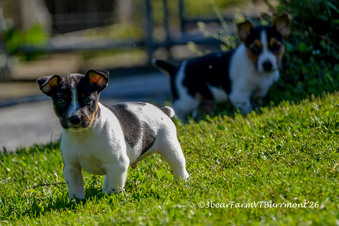 Enlarge photo 122