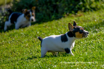 Enlarge photo 116