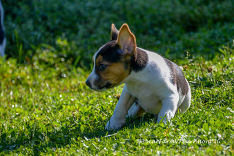 Enlarge photo 106