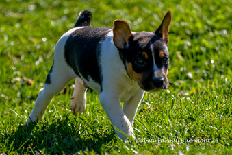 Enlarge photo 98
