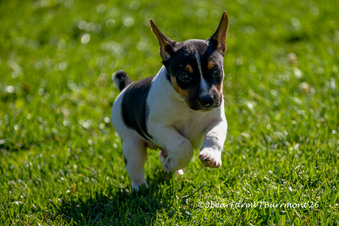 Enlarge photo 95