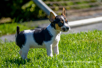 Enlarge photo 79