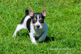 2nd additio of Mae’s 5 week