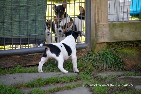 Enlarge photo 362