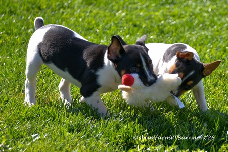Enlarge photo 284