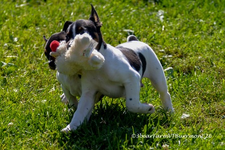 Enlarge photo 277