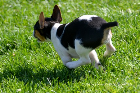 Enlarge photo 251