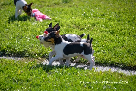 Enlarge photo 236