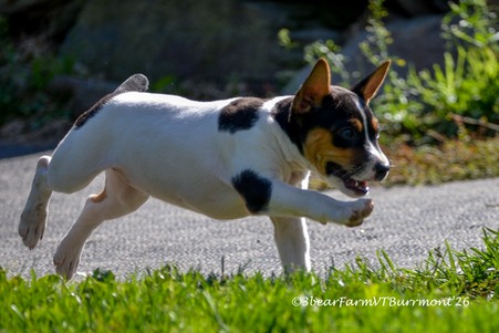 Enlarge photo 177