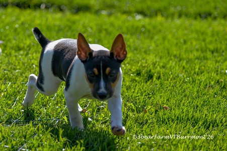 Enlarge photo 167