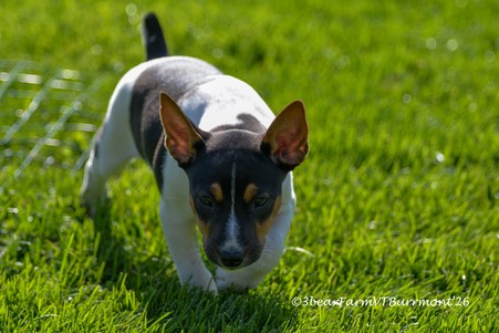 Enlarge photo 165