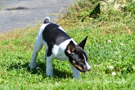 Enlarge photo 96